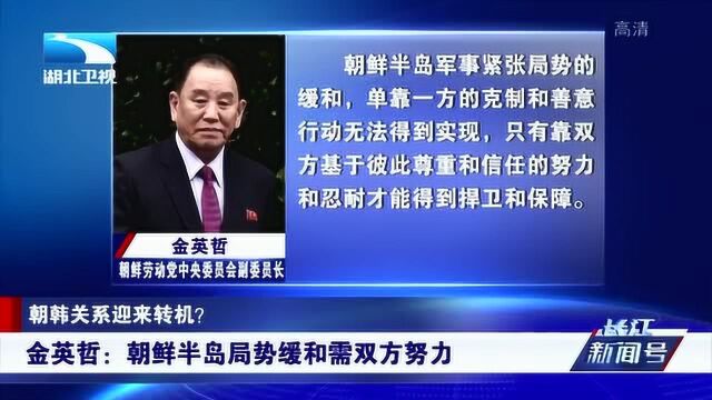 金英哲:朝鲜半岛局势缓和需双方努力