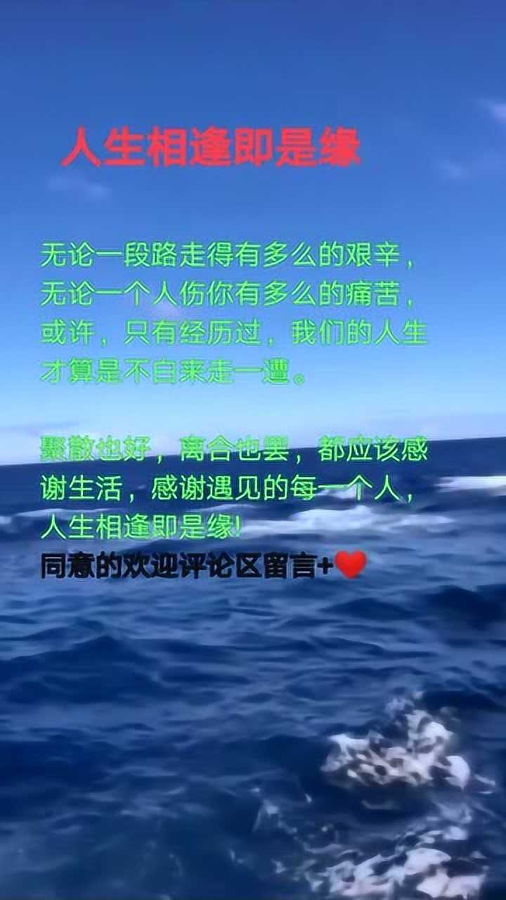 人生相逢即是缘只有经历过人生才算是不白来