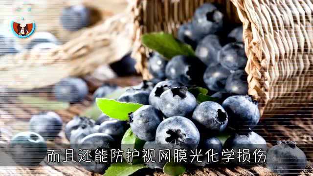 视力变差?保护视力食物TOP5,吃出清晰视力,眼睛更明亮!