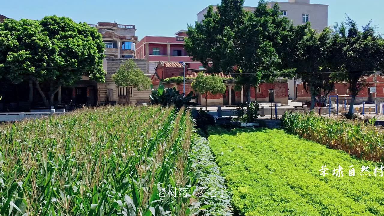 英林镇三欧村最新形象片