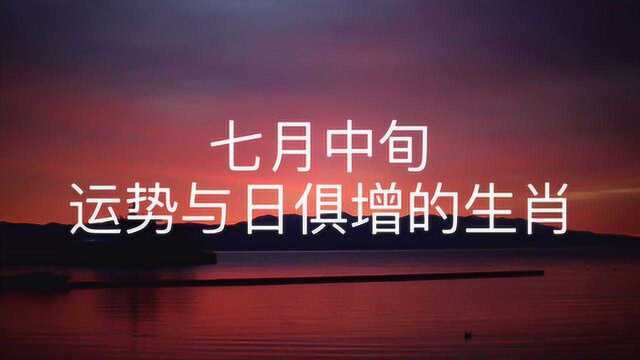 七月中旬,运势与日俱增的生肖