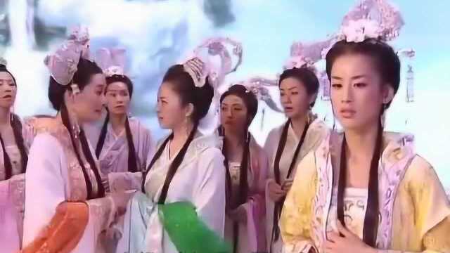 天仙配:姐妹几人观看人家百泰,七公主却对书生感兴趣了,姐妹们叫都叫不走