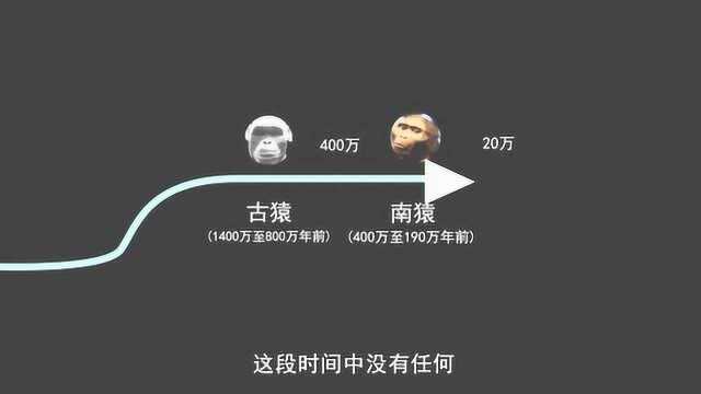 人类起源假说!两次进化空白期,达尔文的进化论是真的吗?