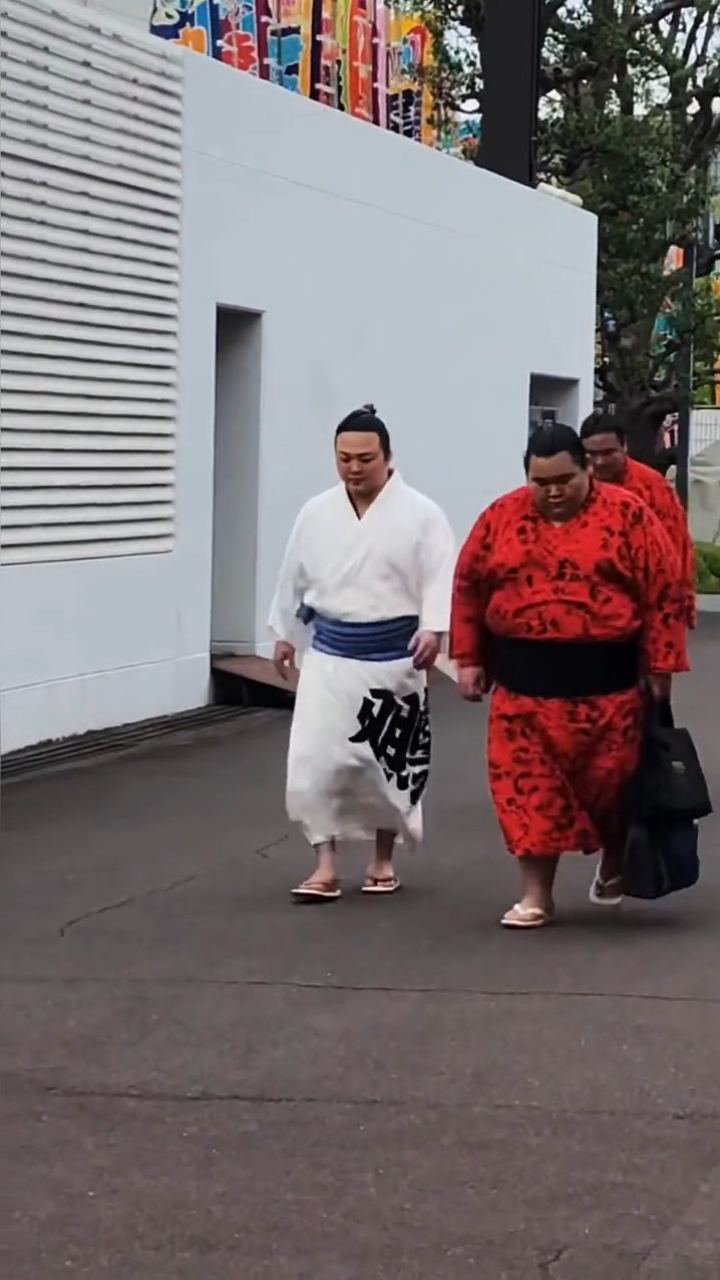 目前幕内最瘦的相扑手,找到比他瘦的,算我输