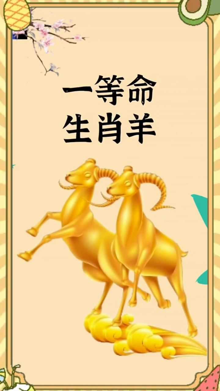 生肖羊一等命,你是属羊的吗?