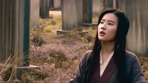 刘亦菲个人混剪:女版无情经典演绎