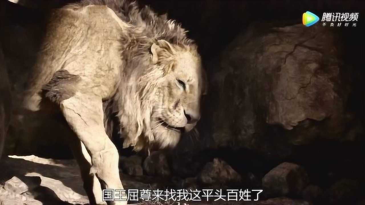 狮子王刀疤说话酸酸的它根本就不把国王放在眼里