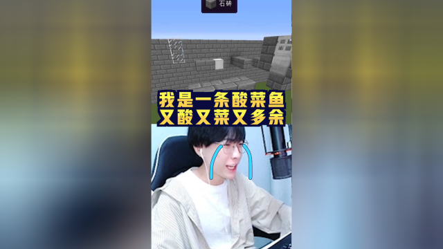 我的世界蛋白我是一条酸菜鱼又酸又菜又多余