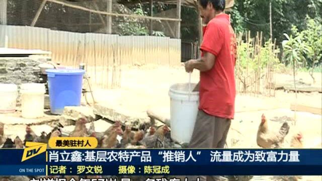 肖立鑫:基层农特产品“推销人” 流量成为致富力量