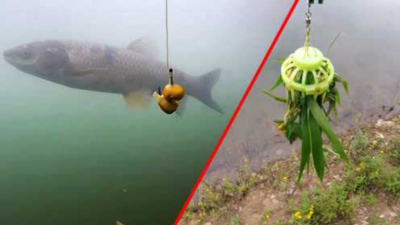 钓鱼：鲢鳙钓组浮钓草鱼......异想天开的花式操作！_高清1080P在线观看平台_腾讯视频