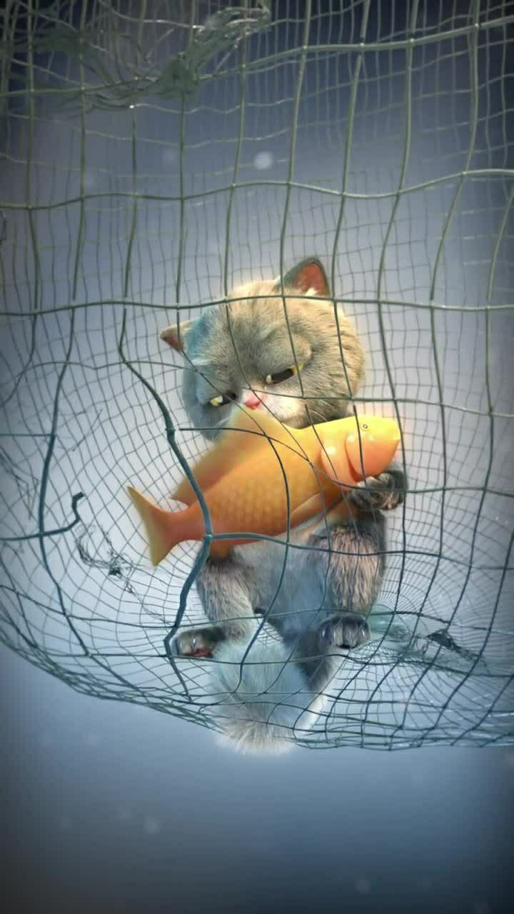 一只猫和一条鱼的感人故事,只有你,让我变得无比坚强