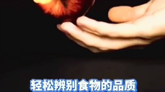 辨别常用食物品质的小妙招,操作非常简单,学会后再也不怕被黑商骗了!