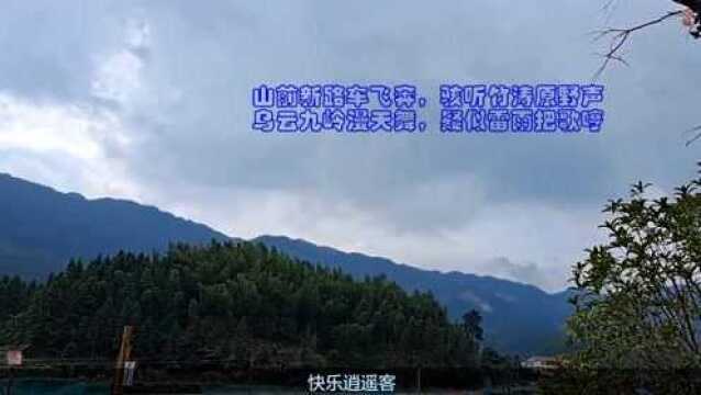 山前新路车飞奔,骇听竹涛原野声