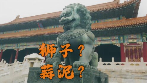 紫禁城里的狮子叫“蒜泥”？中国根本没狮子，这些形象都哪来的？