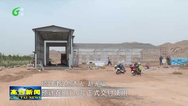 高台:规模养殖助推畜牧业蓬勃发展