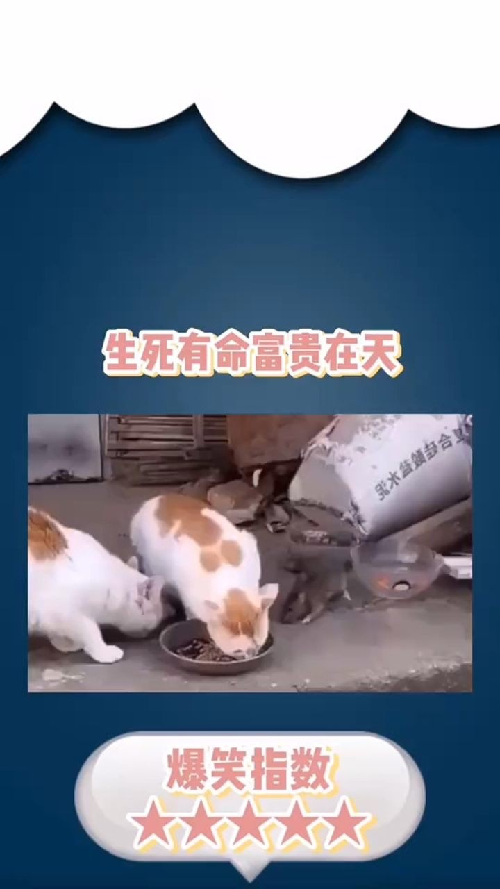 生死有命富贵在天