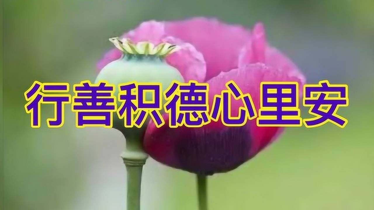 五句板行善積德心裡安作詞範國環彈唱古君讓