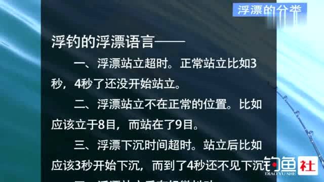 钓鱼基础知识:常见鱼漂分类讲解,钓鱼新手必看!