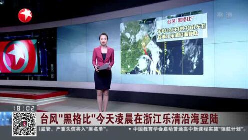 台风“黑格比”今天凌晨在浙江乐清沿海登陆
