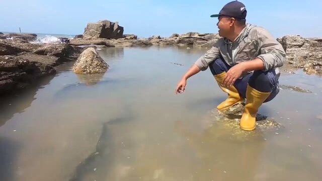 大熊把牛肺放进大水坑,隔天抽完水,大货抓到爆桶!