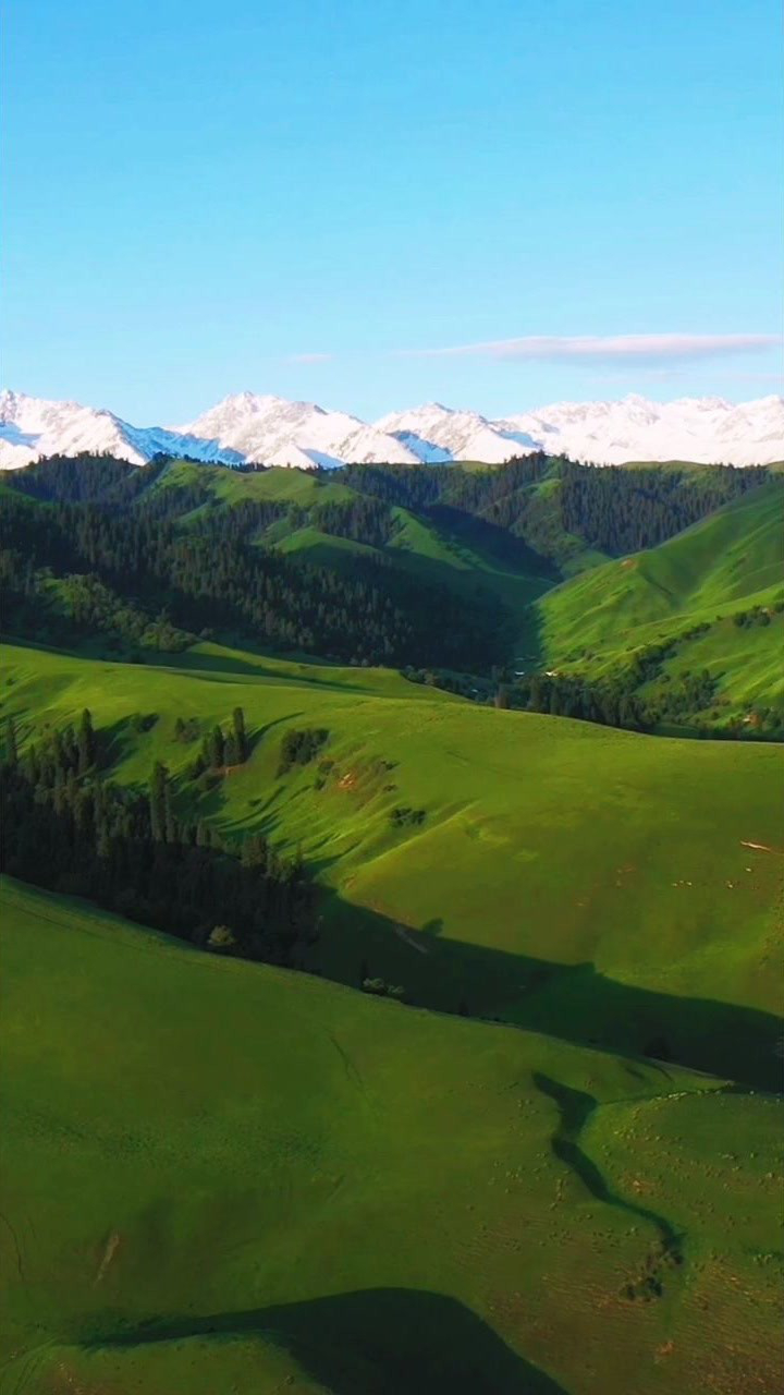 大美新疆美在天山,天山美在伊犁!伊犁河谷是天山最美的一段!