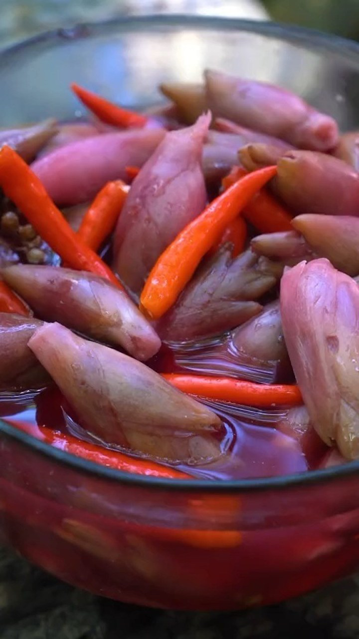 乡村新美食新农人计划你们要的泡菜坛子腌阳荷来了