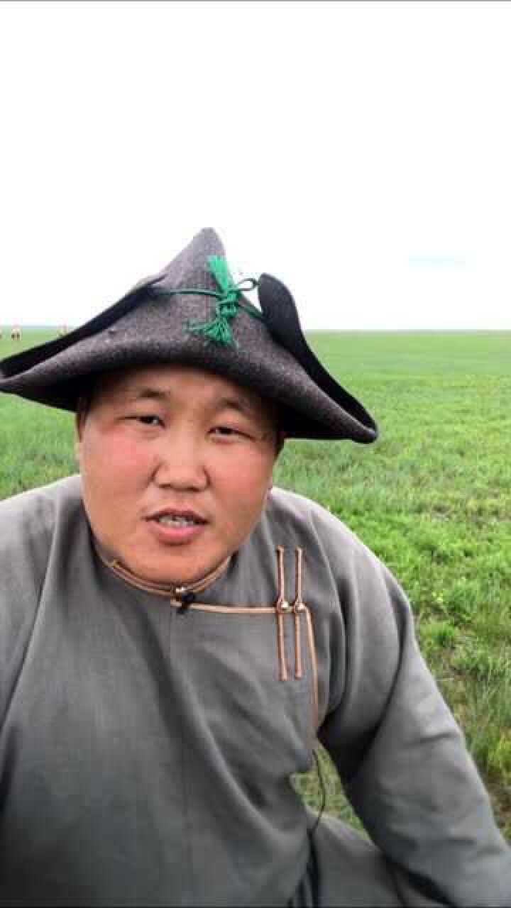 牧民达西直播讲述骆驼