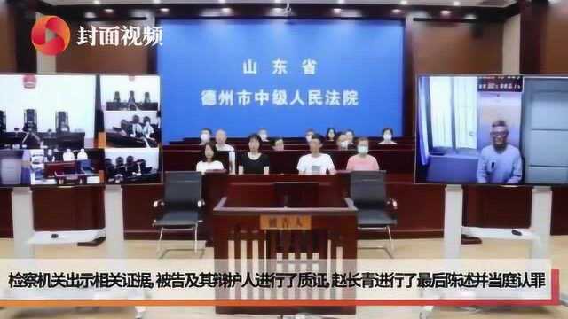 受贿超2486万元 中国书法家协会原副主席赵长青受审