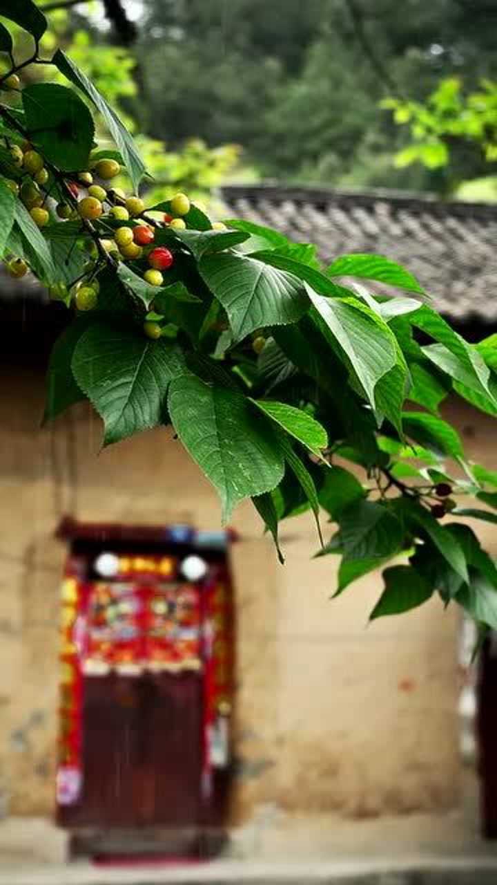 屋簷灑雨滴炊煙裊裊起蹉跎輾轉宛然的你在哪裡