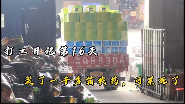 打工日记第16天,今天卸了一千多箱农业和800多捆饮料