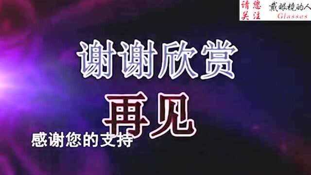 战争史上最血腥的战役,空前惨烈的城市争夺战,这才是战争!