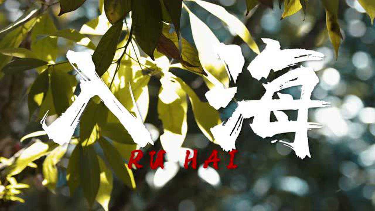 【b站毕业歌】毛不易《入海》mv二创|"跃入人海 各有灿烂