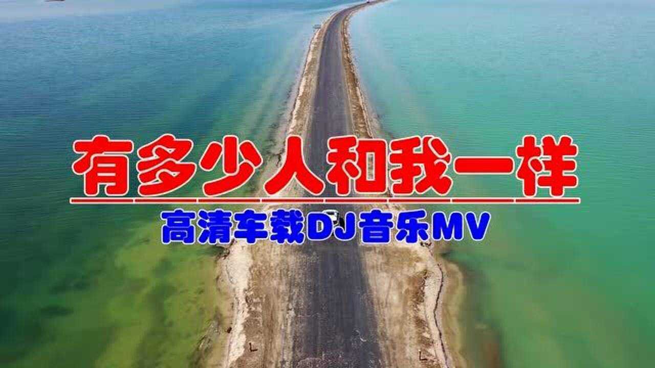 【有多少人和我一样】高清车载dj mv