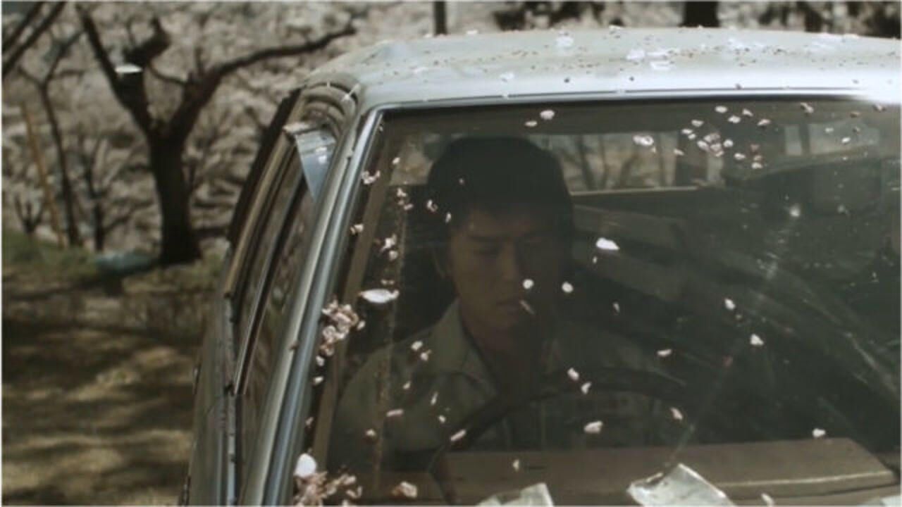 《晴天撩电影》精彩内容_3分钟速看《乔乔的冒险之旅》,秀吉本性不坏,最后因真心对待传助救了自己_电影_高清完整版视频在线观看_腾讯视频
