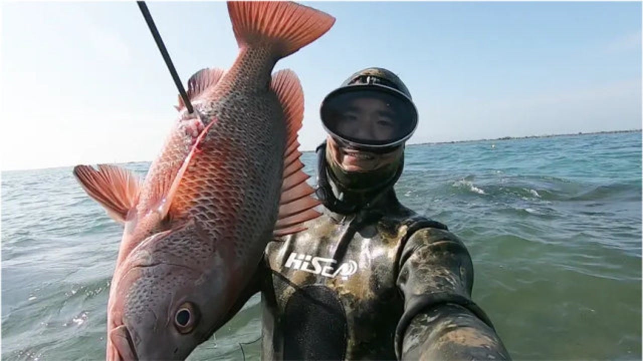 海底追击大红鱼探海渔人冷静果断出击一箭命中大鱼连连上