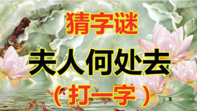 猜字谜:夫人何处去,打一字,智商50以上就能猜对