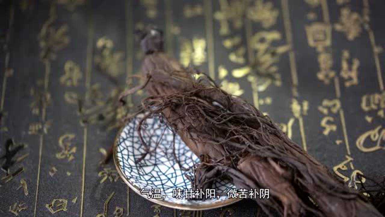黑人参宣传片_腾讯视频