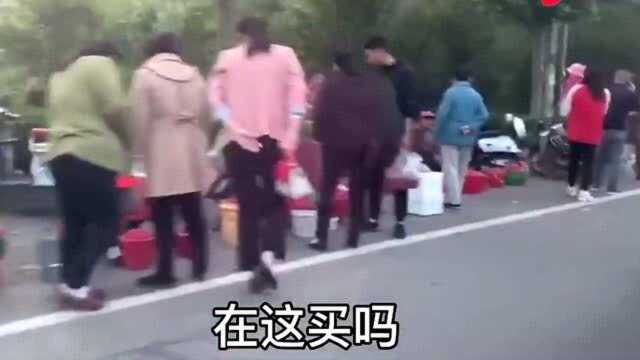 实拍山东大樱桃产地,买30斤才花60块钱,看看这质量咋样