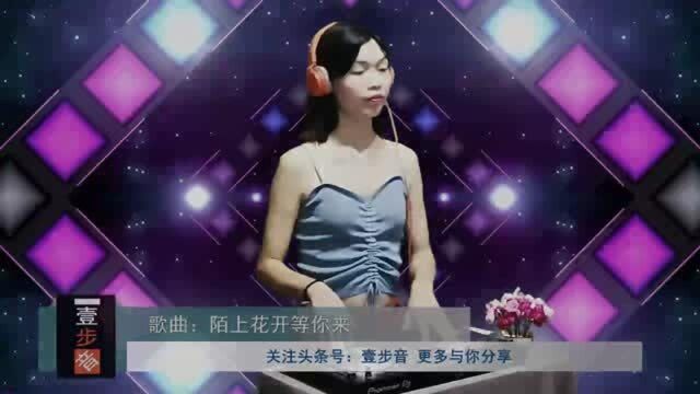 一曲DJ《陌上花开等你来》甜蜜情歌!