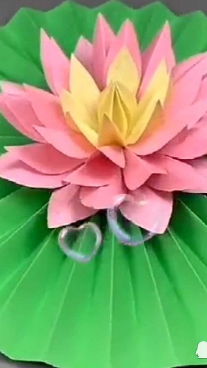 教你用纸制作一朵荷花