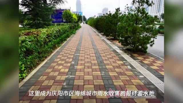 【中国梦ⷩ𛄦𒳦ƒ…】庆阳出平湖 海绵城市不看“海”