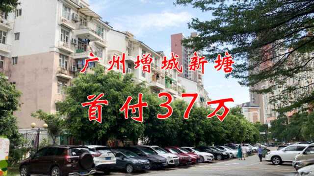 广州增城新塘,小洋房首付只要37万,小伙很心动,值得买吗?