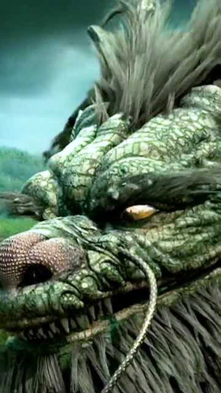 这龙怎么样你们说了算超自然事件之坠龙事件