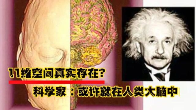 传说中的11维空间真实存在?科学家:或许就在人类大脑中!