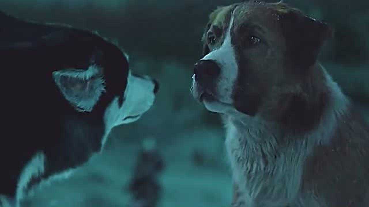 头领之争巴克成功逆袭二哈太燃了