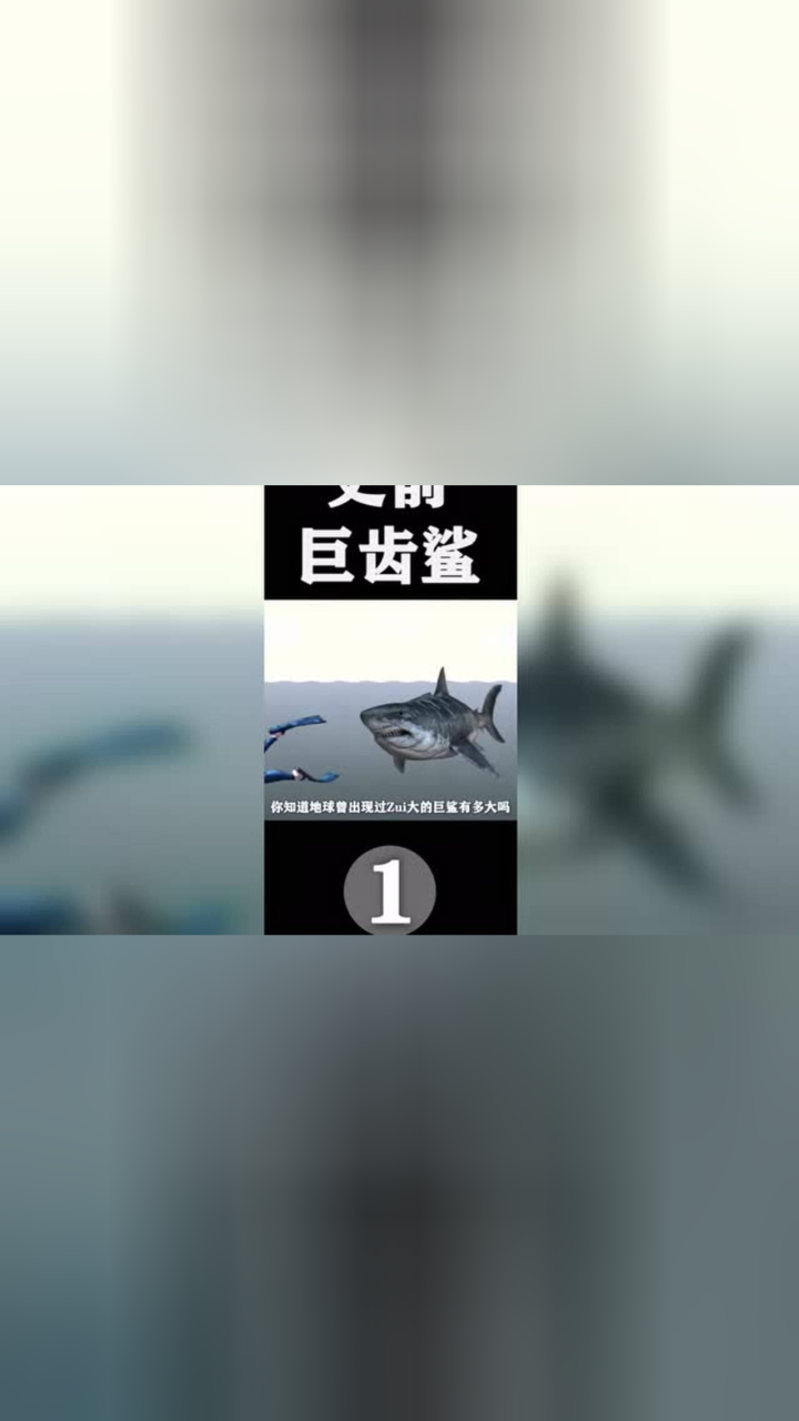 你知道"巨齿鲨"有多大吗,对手又有多强大._腾讯视频
