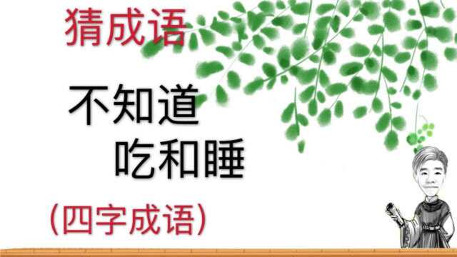 趣味学猜成语:不知道吃和睡,四字成语,经常挂在嘴边的成语