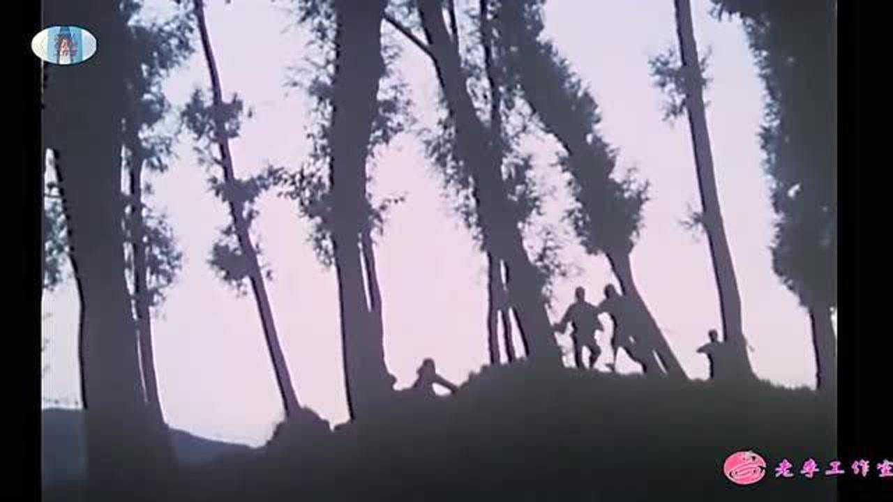 怀旧经典武打功夫老、八十年代上映、好看!_高清