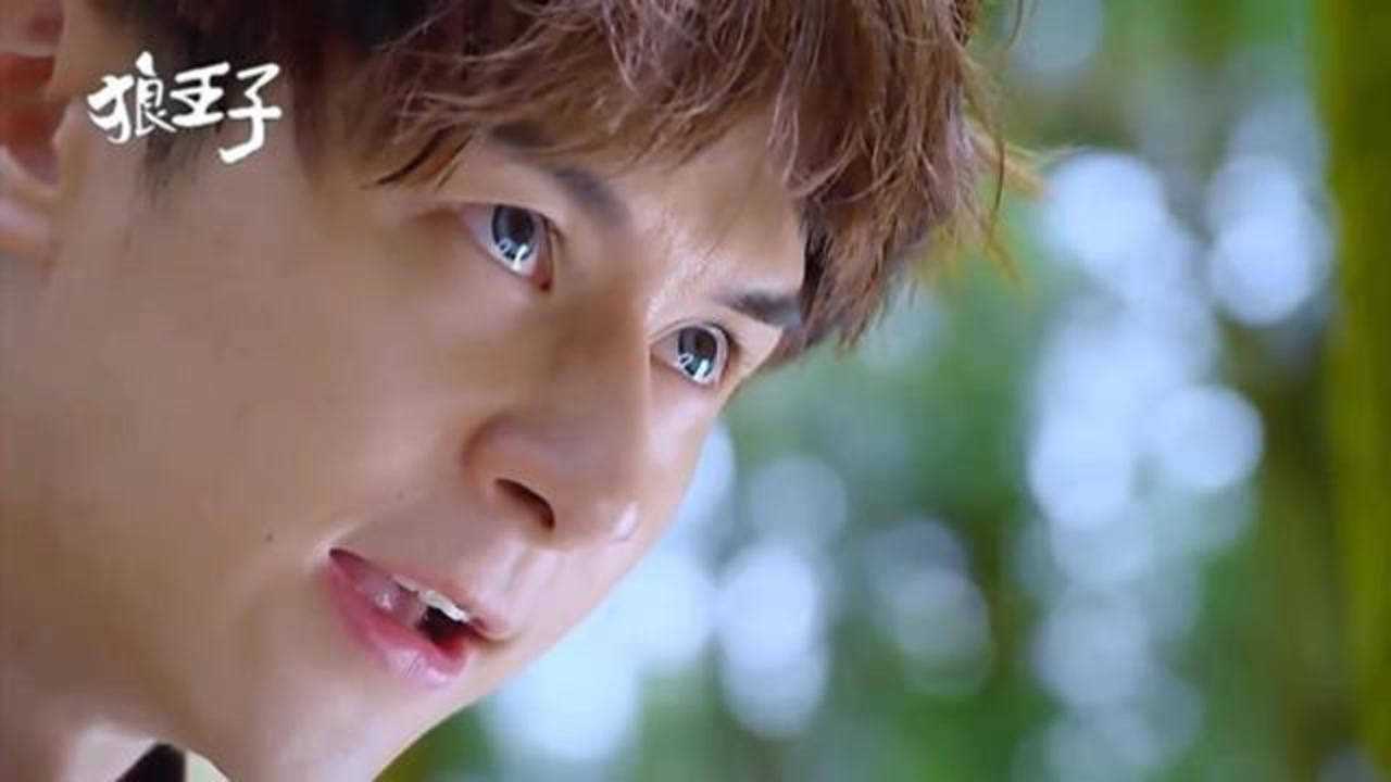 狼王子:狼孩抗住暴打只为了给女孩草药,看着女孩离开心快碎了