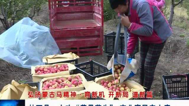 林西县:主攻“菜果药牛” 产业富民奔小康